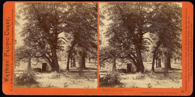 Cabin in Camp Grove, Yosemite Valley, Mariposa County, California by Carleton E. Watkins